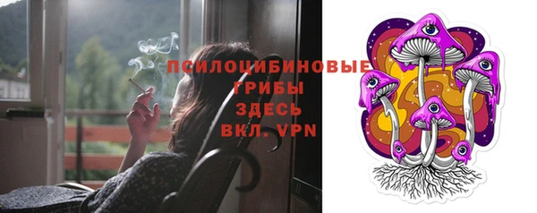 mdpv Медвежьегорск